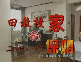 田教授家的二十八个保姆
