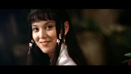 射雕英雄传续集