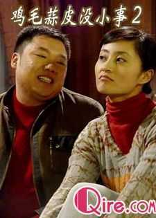 鸡毛蒜皮没小事2