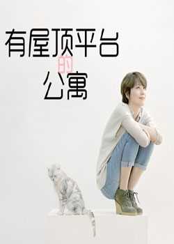 有屋顶平台的公寓