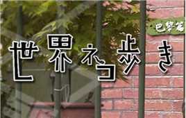 岩合光昭の猫步走世界~..