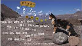 岩合光昭猫步走世界~智..