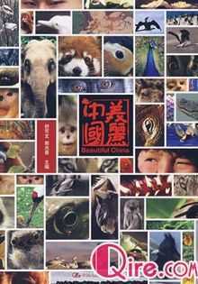 美丽中国