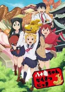 八十龟酱观察日记