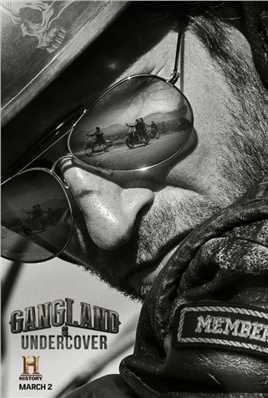 黑帮卧底第二季