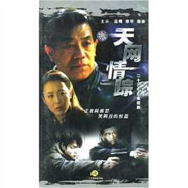 天网情踪