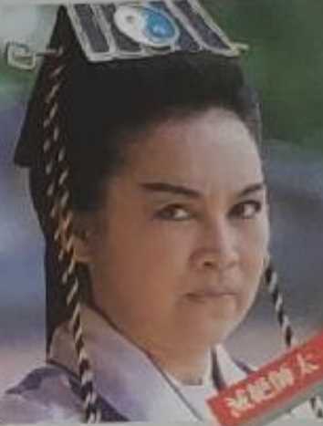 倚天屠龙记灭绝师太