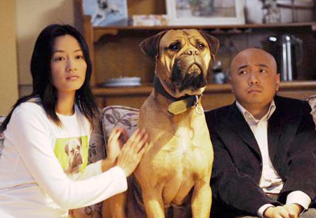 爱情呼叫转移李苗