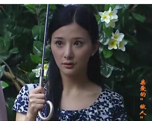 亲爱的敌人童云