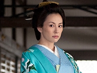 蜻蛉绘图缝(登美)