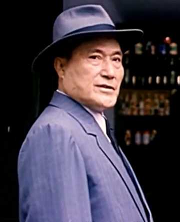 开国大典毛人凤