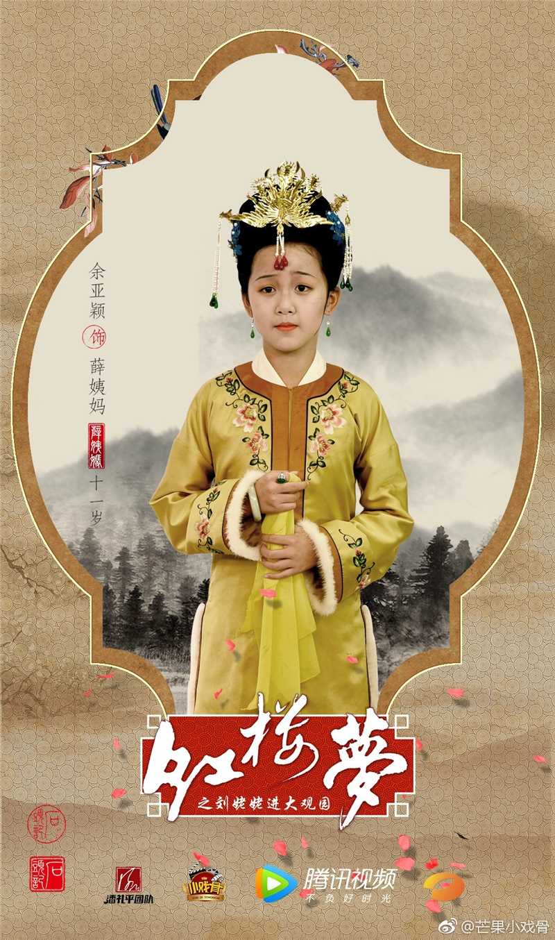 小戏骨:红楼梦之刘姥姥进大观园薛姨妈