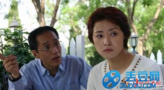 红色康乃馨周若冰