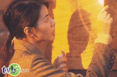 陀枪师姐Ⅳ方晴