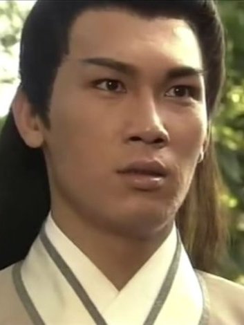 碧血青天杨家将展昭