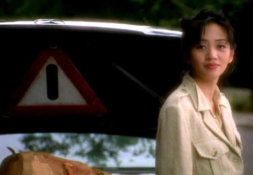 金枝玉叶2方艳梅