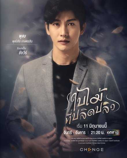 吹落的树叶Chatchavee