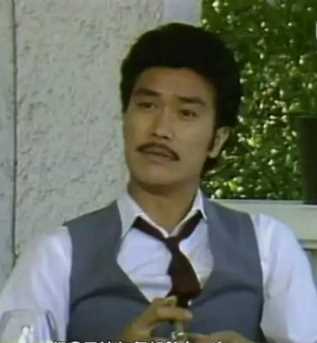 女黑侠木兰花高翔(地球)