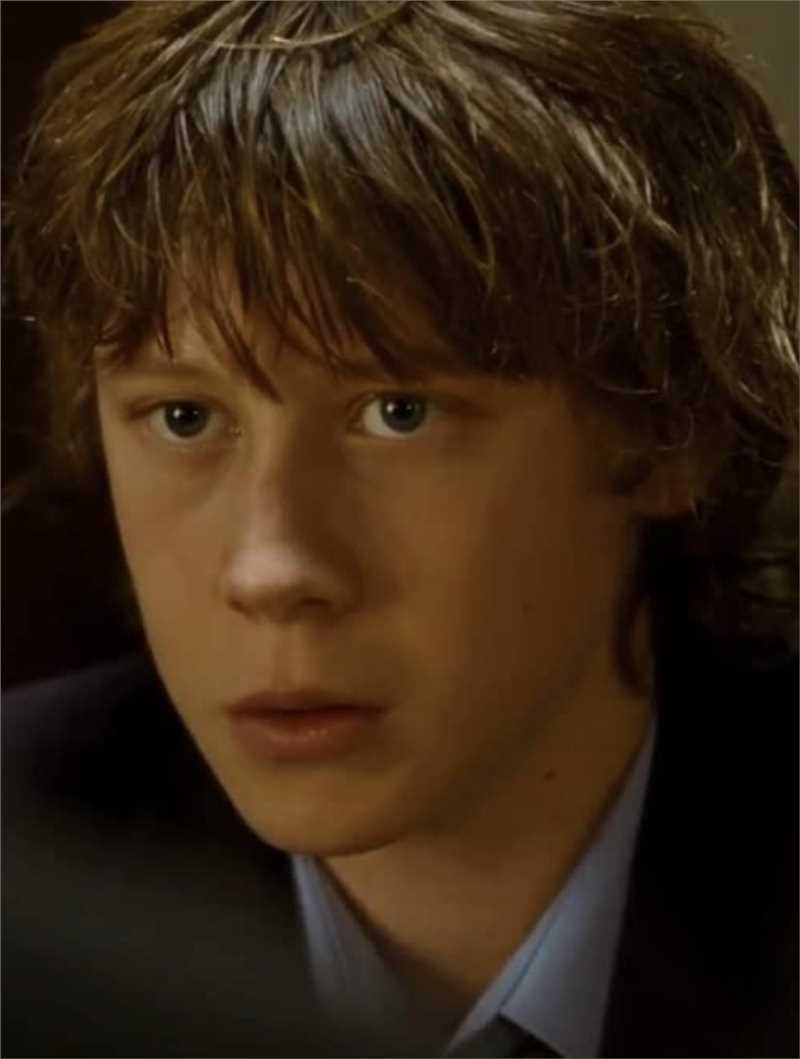 男孩们回来了哈利·瓦尔