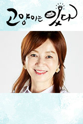 猫来了!喵尹成慧