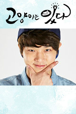 猫来了!喵廉治周