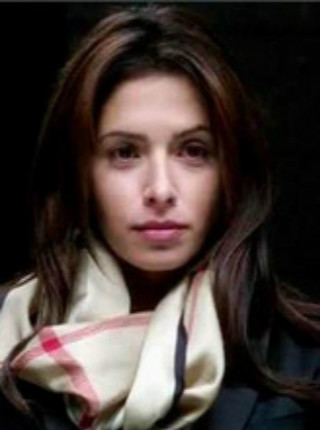 疑犯追踪第四季萨姆恩·肖/Sameen Shaw(大锤)