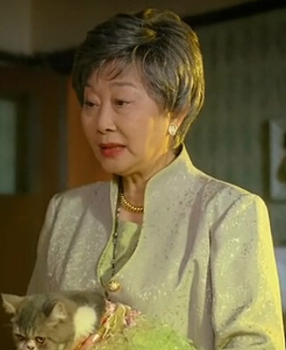 姨妈的后现代生活水太太