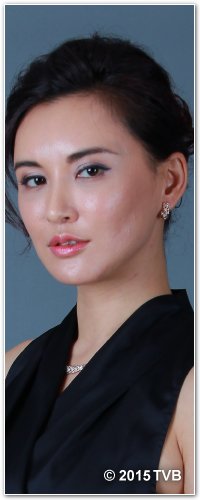 风云天地粤语宋子桦