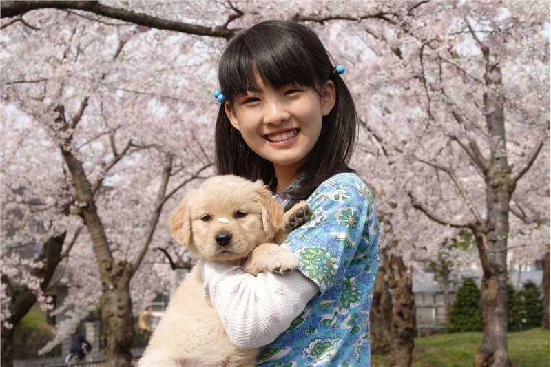 狗狗与我的十个约定小明莉