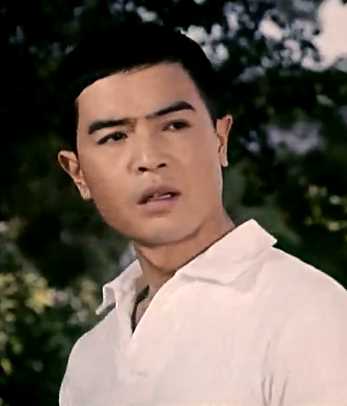 甜蜜的事业田五宝