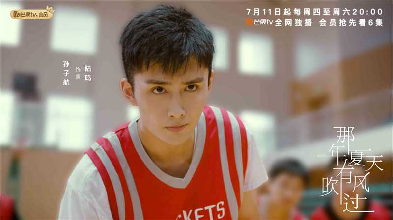 那年夏天有风吹过陆鸣