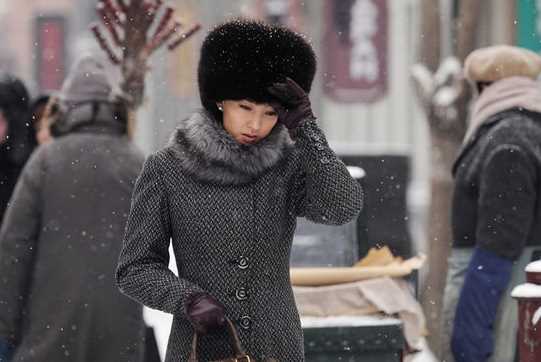 零下三十八度常青