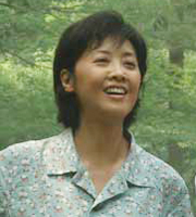 静静的白桦林达兰