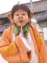 喜气洋洋猪八戒猪八戒