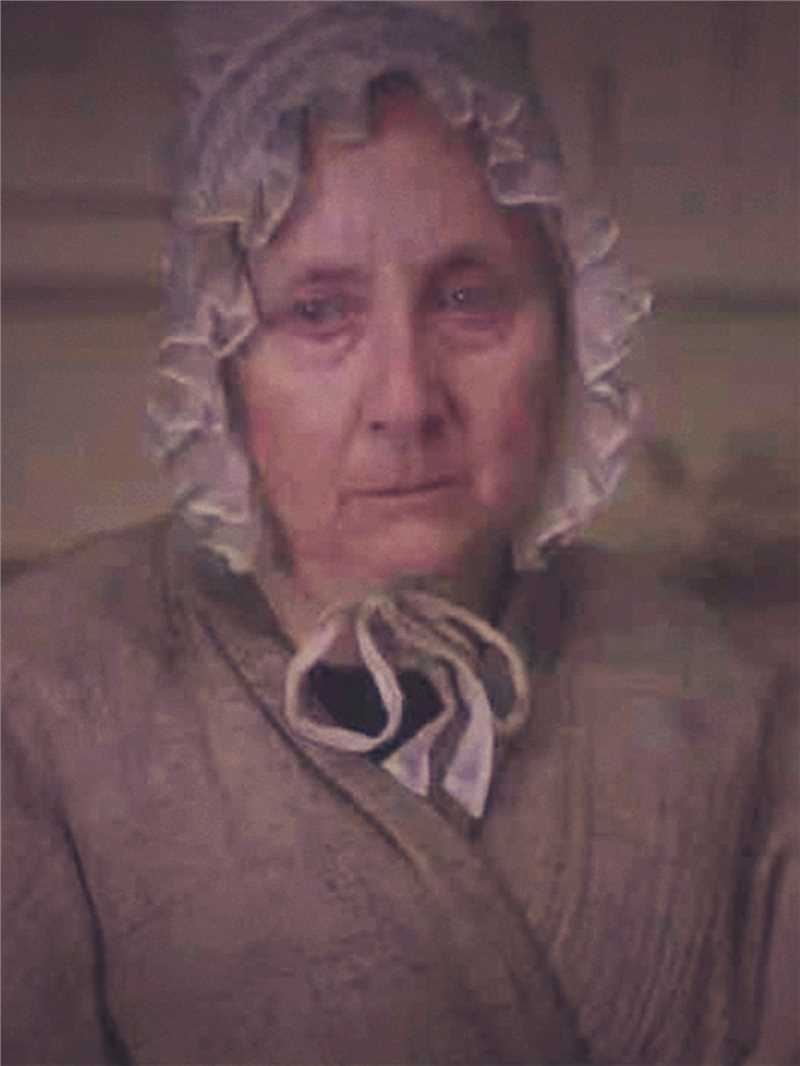 菊石莫莉·安宁