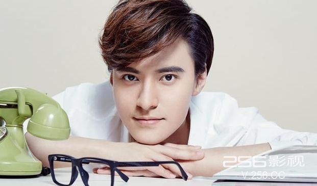 舒克与桃花马大春