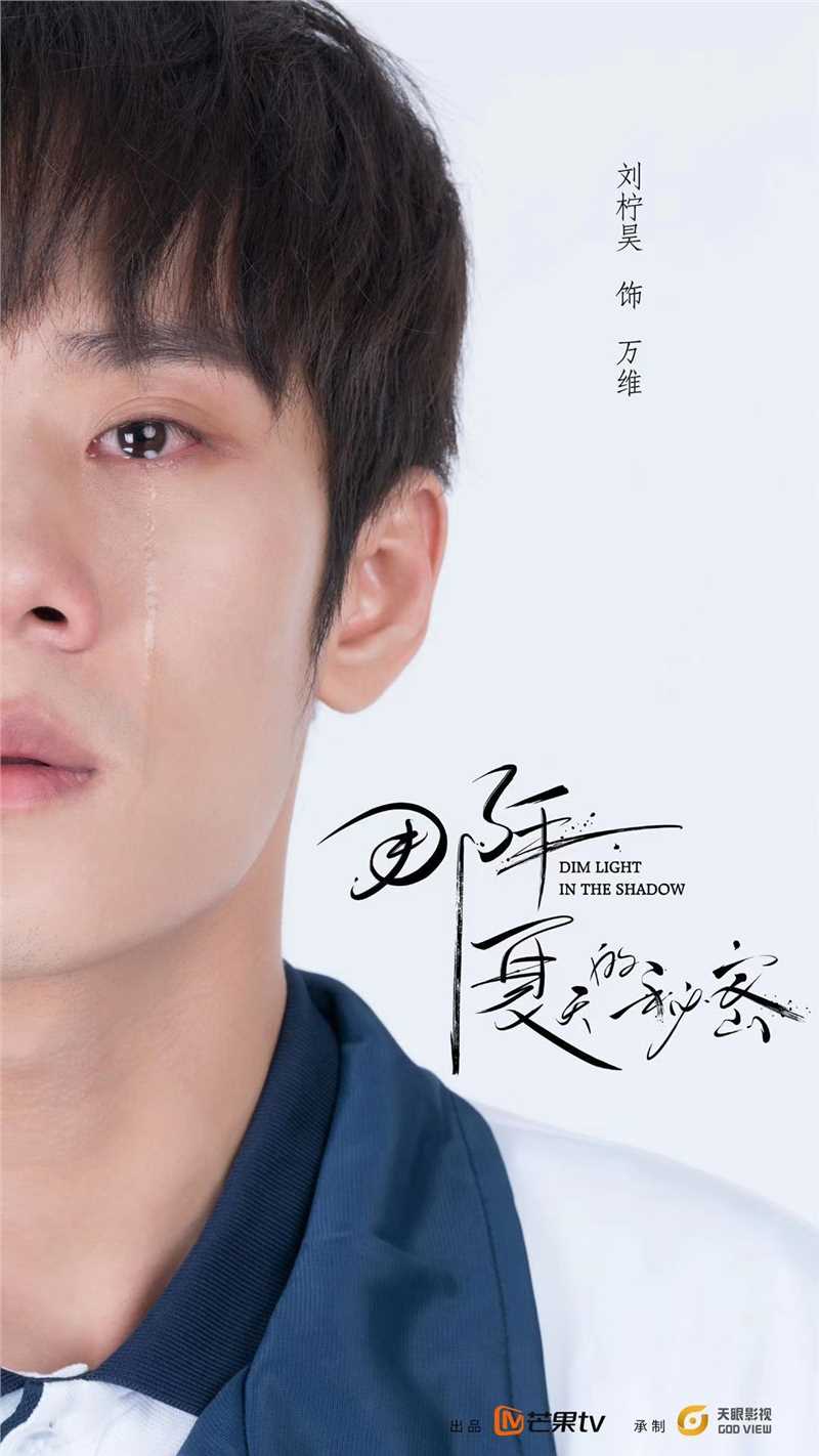 那年夏天的秘密电影版万维