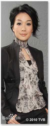 女人最痛洪珊瑚