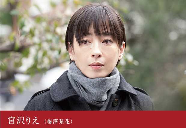 纸之月梅泽梨花