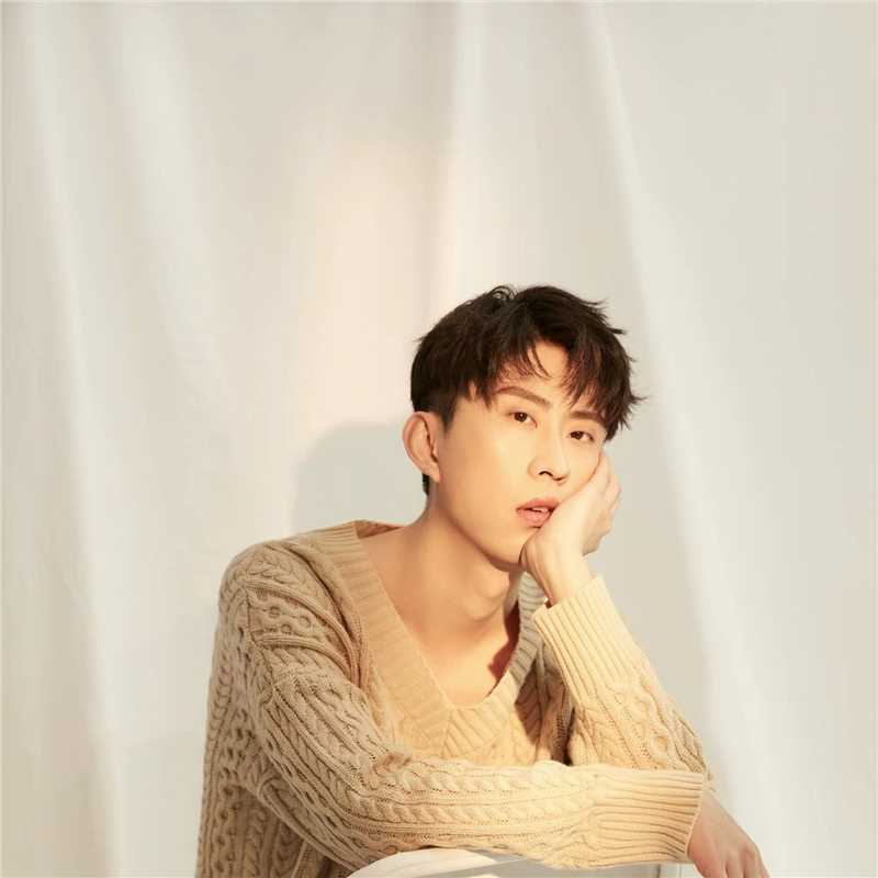 了不起的夜晚猴子