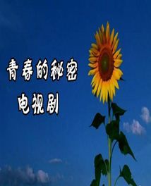 青春的秘密