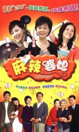 麻辣婆媳2
