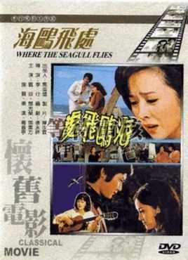 海鸥飞处