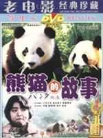 熊猫的故事