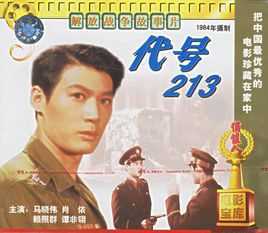 代号213