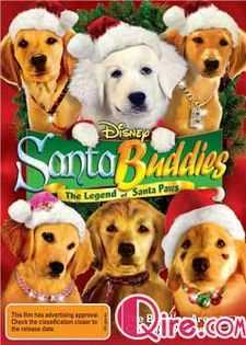 圣诞狗狗之圣诞小宝贝