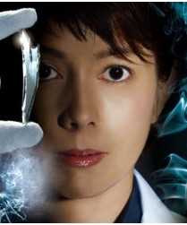 科搜研之女第十三季