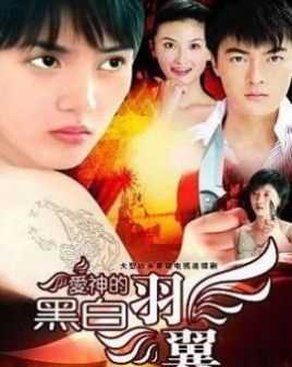 爱神的黑白羽翼