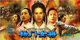 杨门女将15大破天门阵