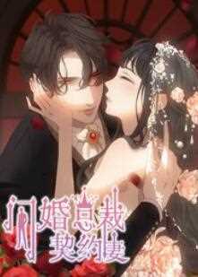 闪婚总裁契约妻